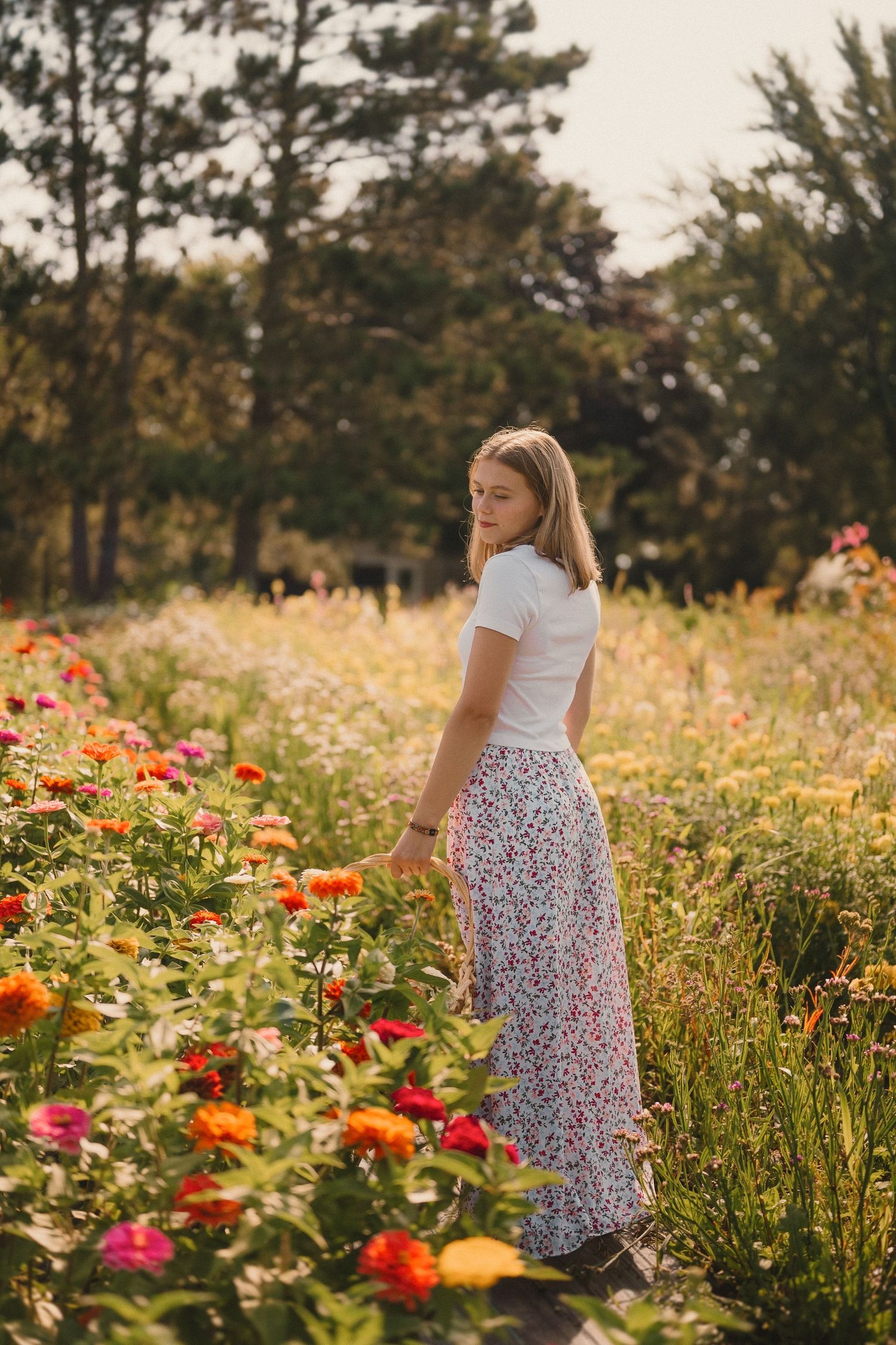 A serene garden scene with colorful zinnias and wildflowers in golden afternoon light.
