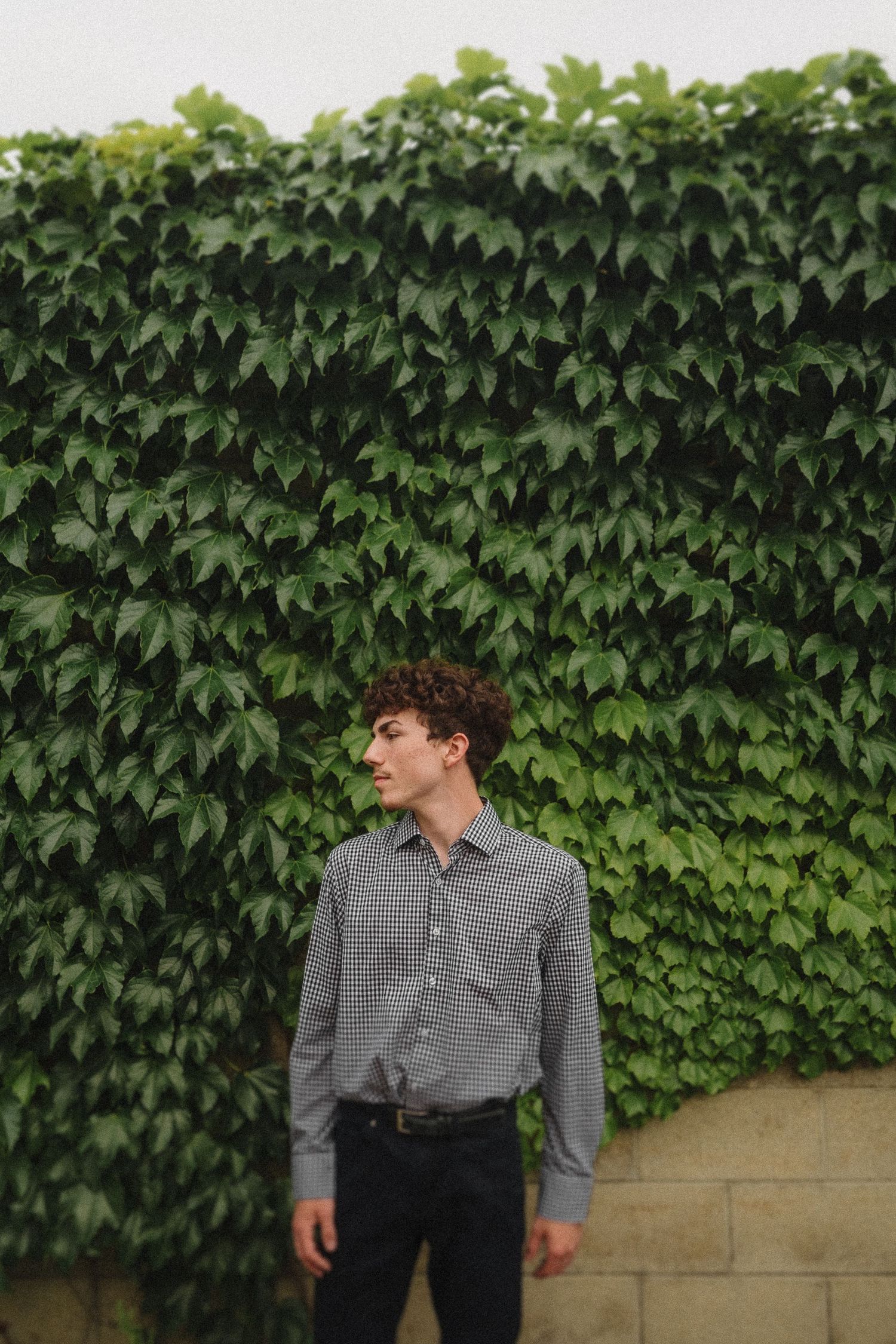 Someone in a gray checkered shirt stands against a wall covered in lush green ivy leaves.