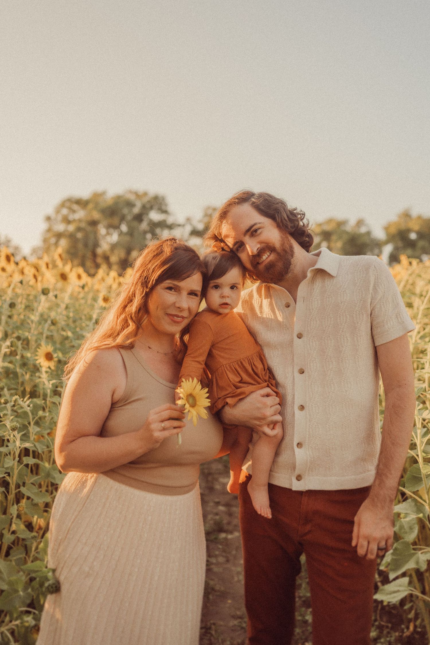 Family portrait in a golden sunflower field during magic hour.