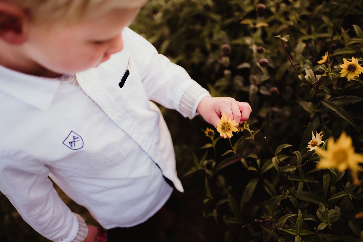 Child in white dress shirt reaches to touch yellow wildflowers in garden setting.