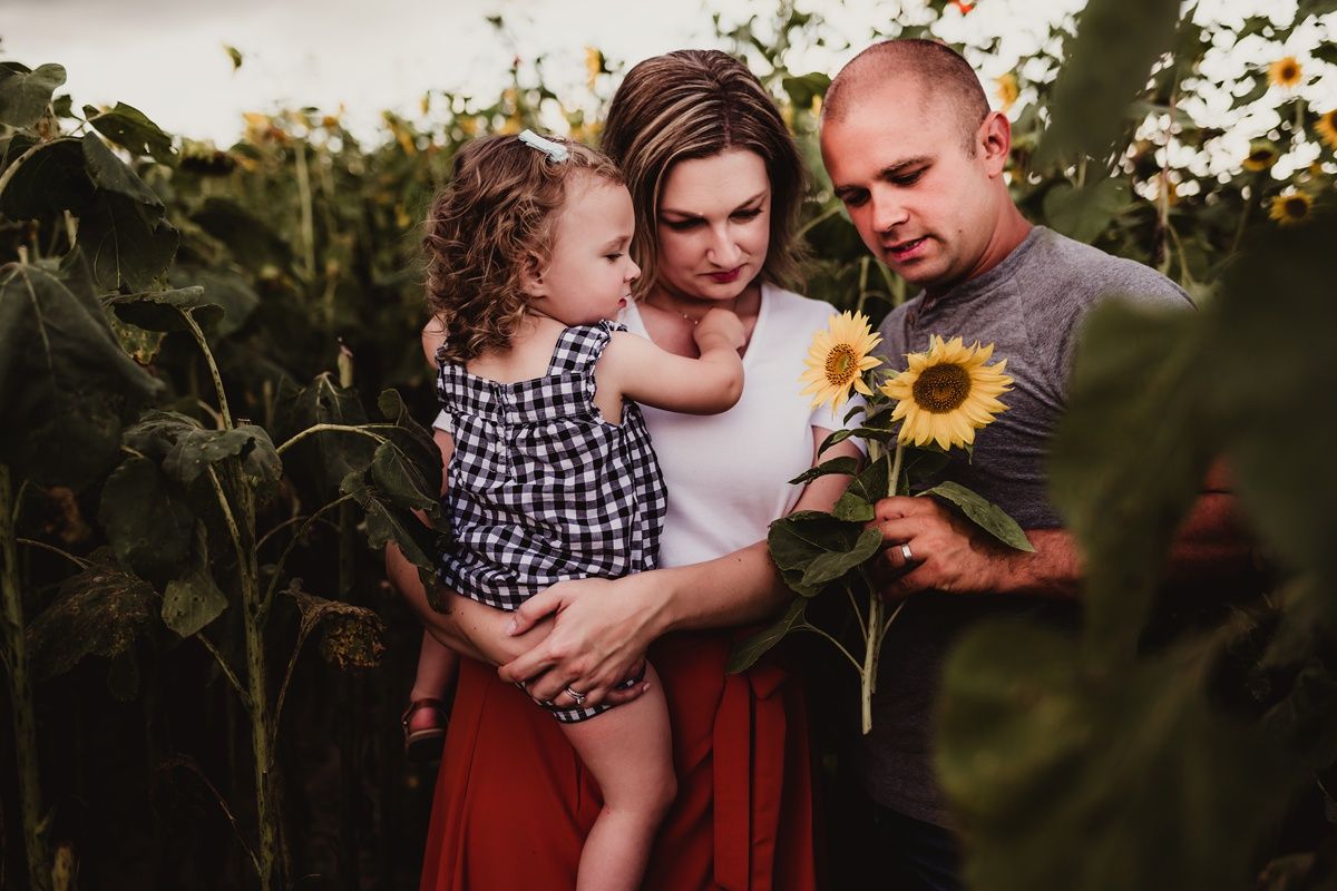 A family explores a sunflower field together during a summer photo session.