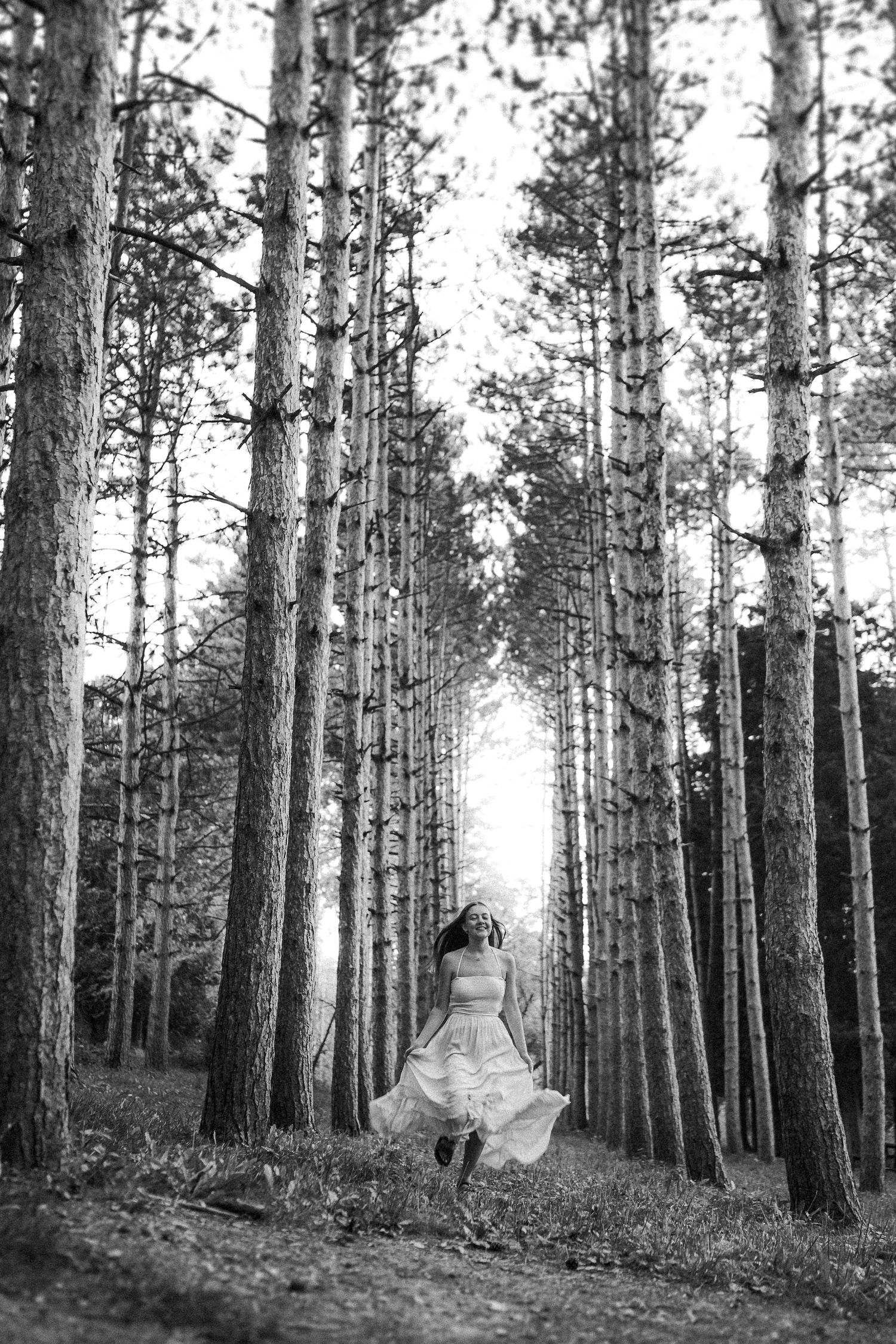 A dreamy black and white forest path lined with tall pine trees leads to a bright ethereal clearing.