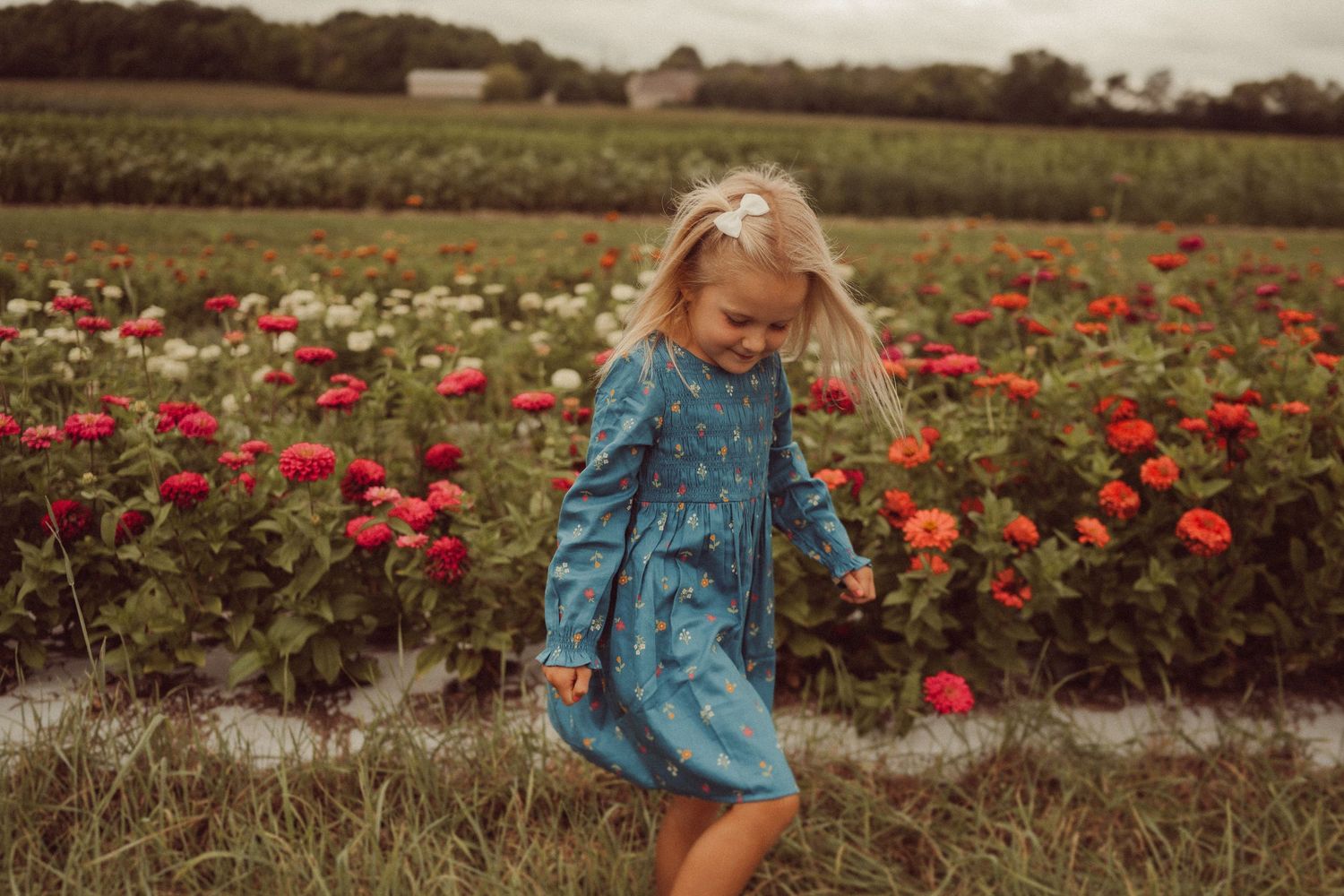 Person in blue dress twirling among red zinnias in a summer garden.