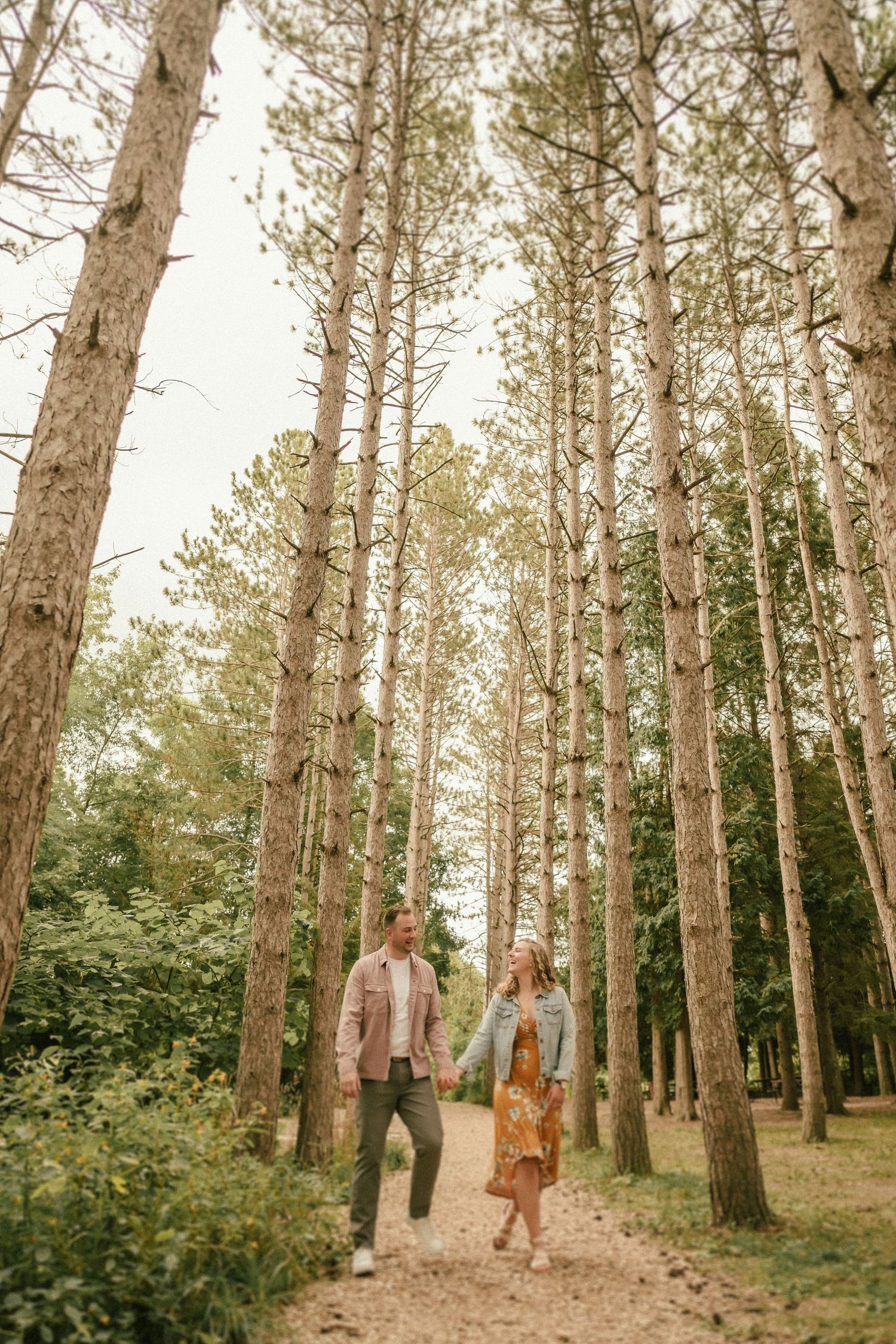 Couple strolls down a forest path surrounded by towering pine trees.