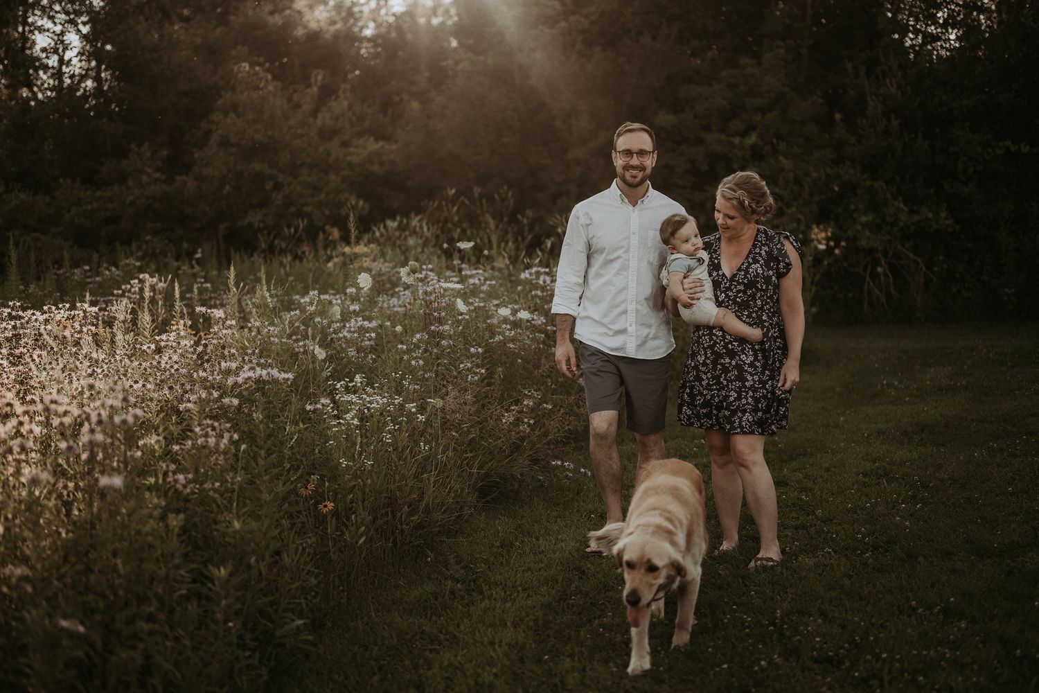 A couple walks through a wildflower meadow at sunset with their golden retriever dog.