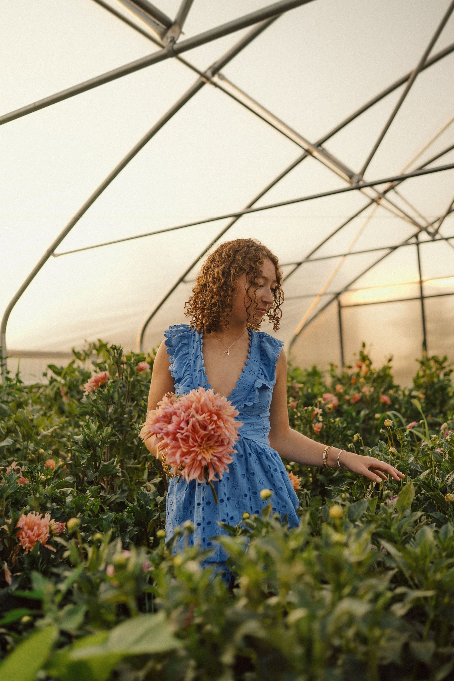 Person in a blue dress picking flowers in a sunny greenhouse filled with blooming plants.