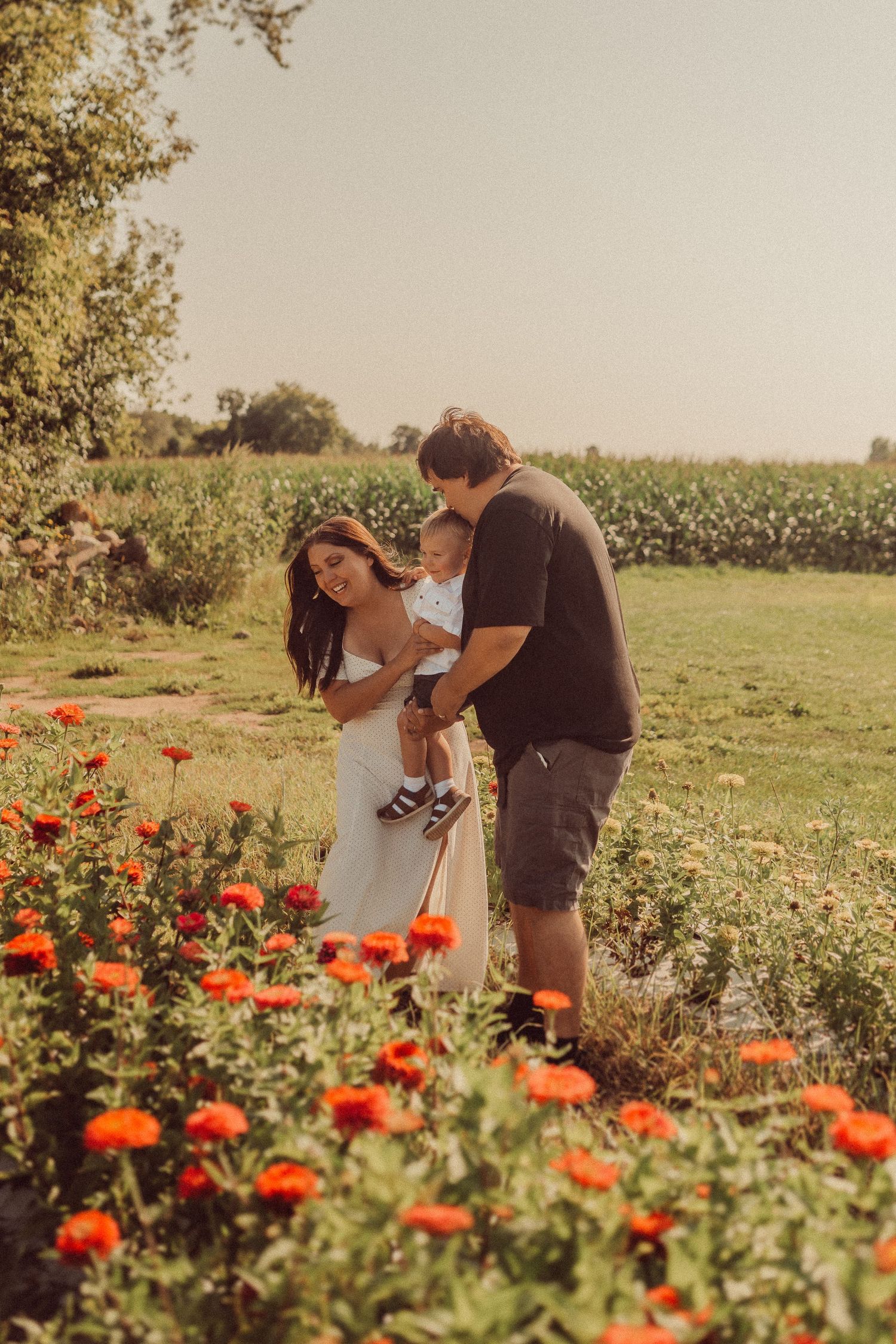 A couple and small child explore a vibrant garden filled with red poppies on a sunny afternoon.