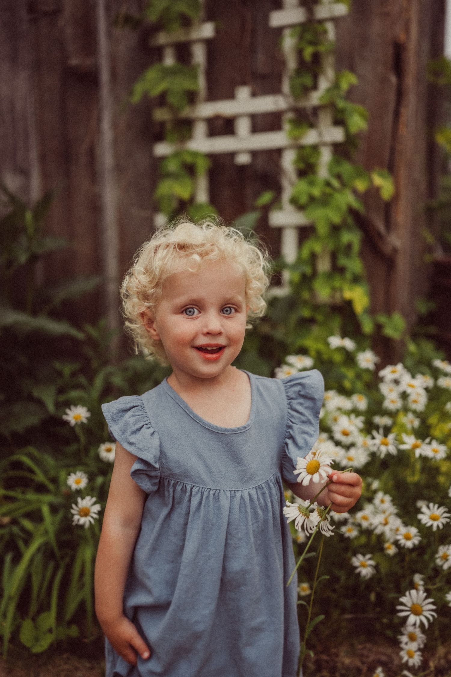 Young child in blue dress stands by garden trellis with blooming daisies.
