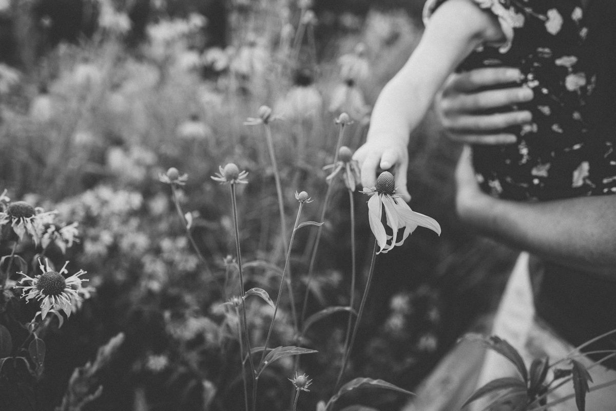 Black and white close-up of hands reaching toward delicate garden flowers.