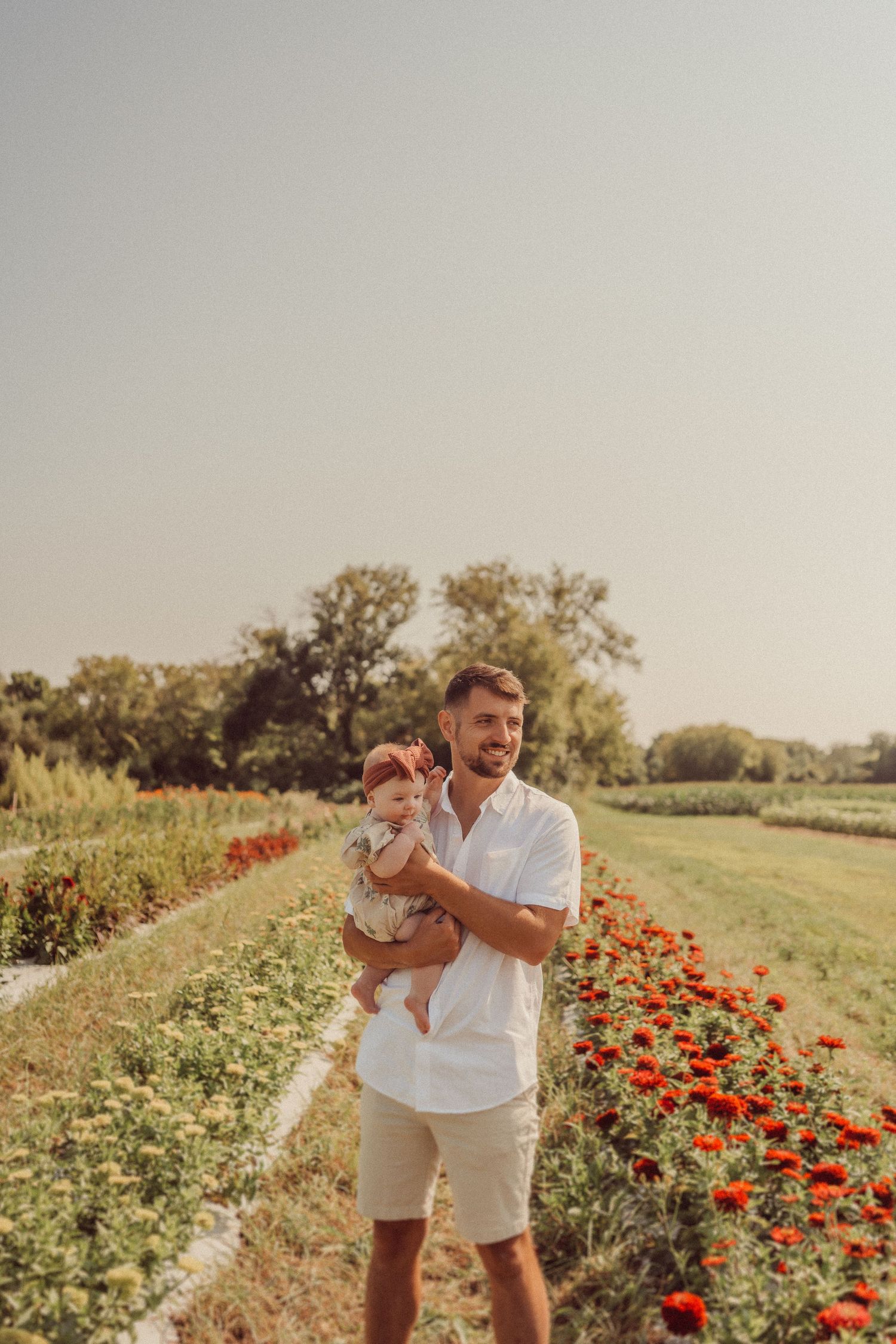 Sunset photo in a garden path lined with vibrant red poppies.