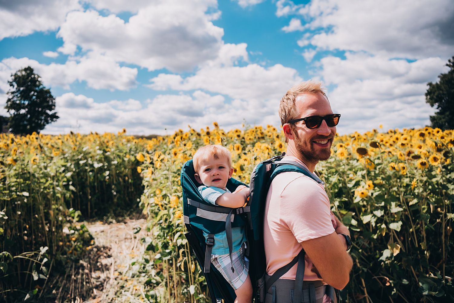 A sunny day adventure through a vast field of bright yellow sunflowers.