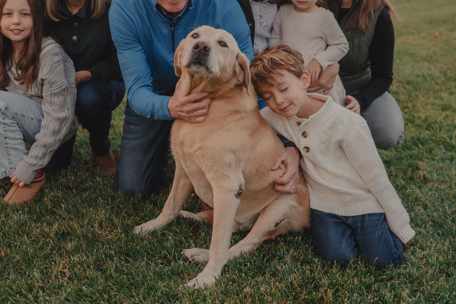 A happy yellow Labrador retriever enjoys cuddles on the grass with a loving group.