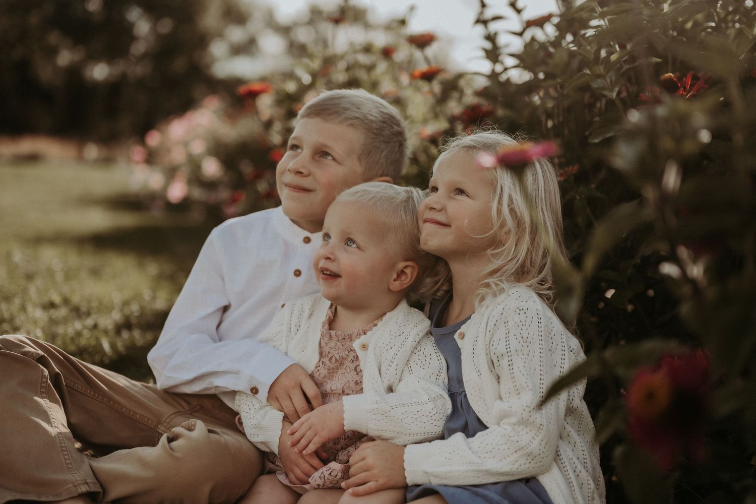 Three people sit together in warm sunlight near red flowering bushes.