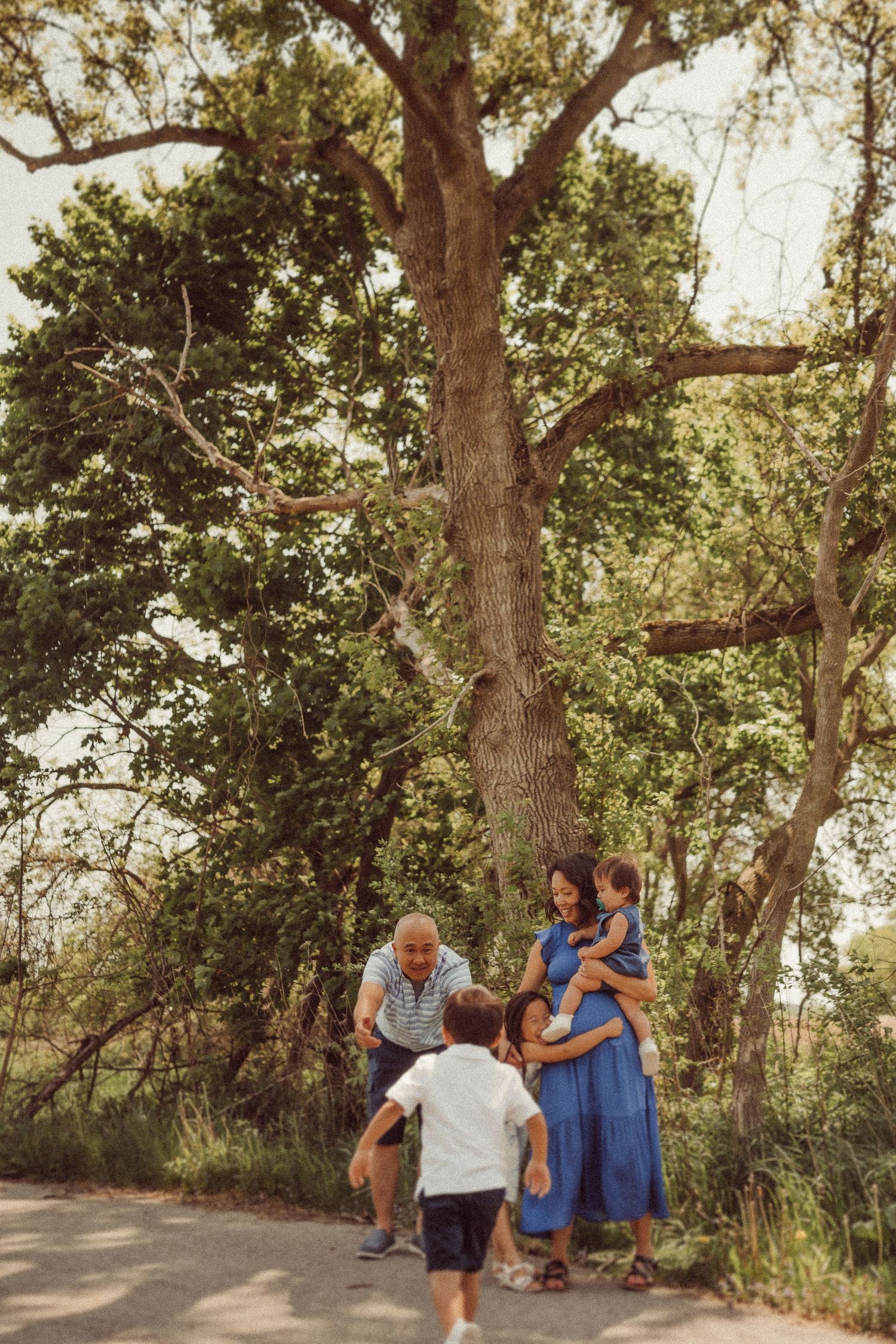 A family gathers under a large tree on a dirt path during a sunny day.