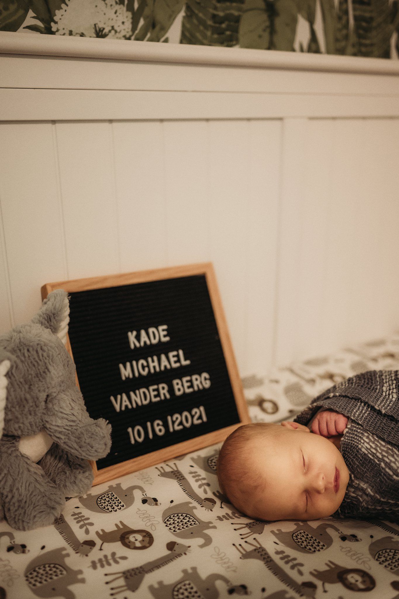 Sleeping newborn next to letterboard displaying birth details and gray stuffed animal.