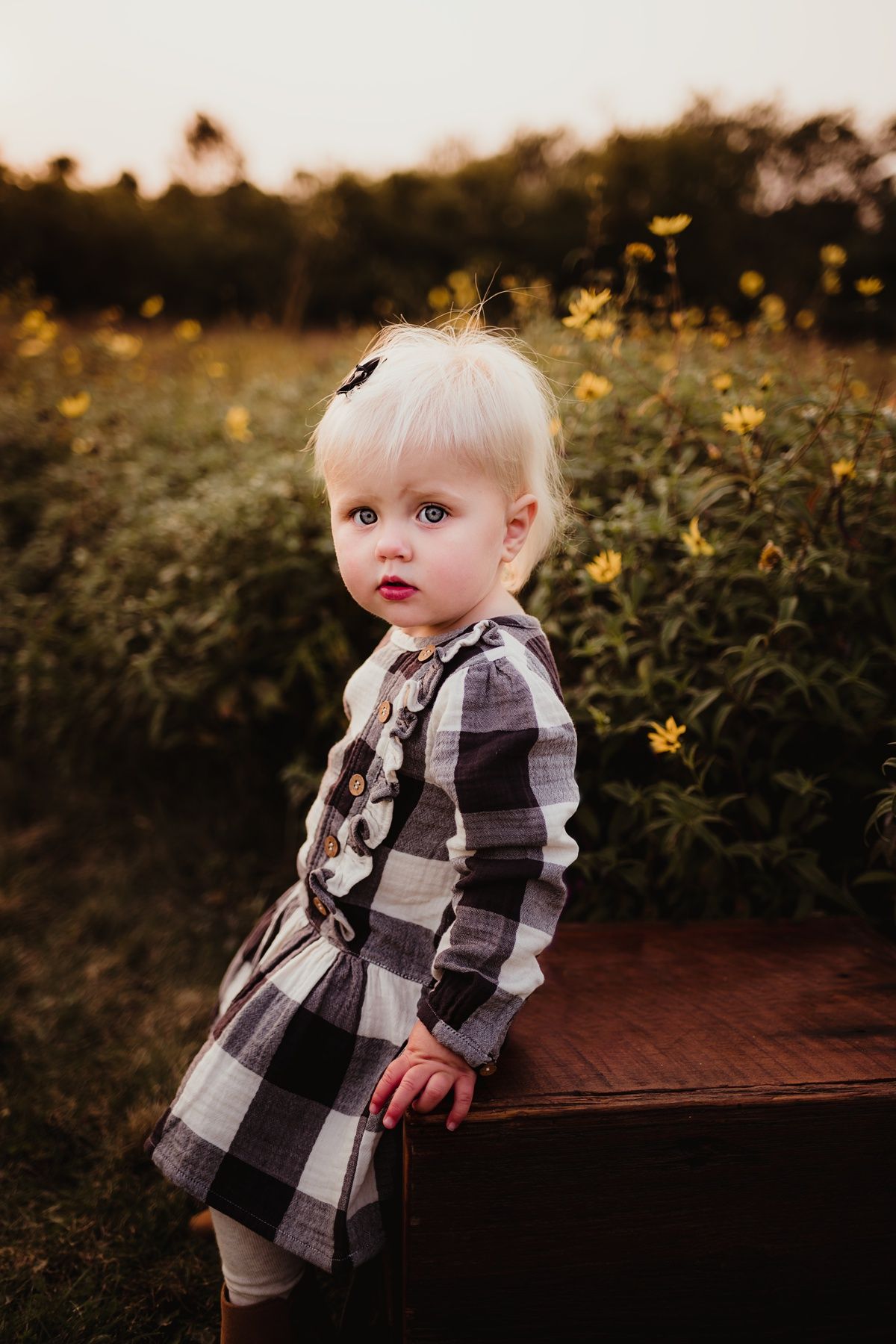 Young child in black and white buffalo plaid dress leans against wooden platform outdoors.