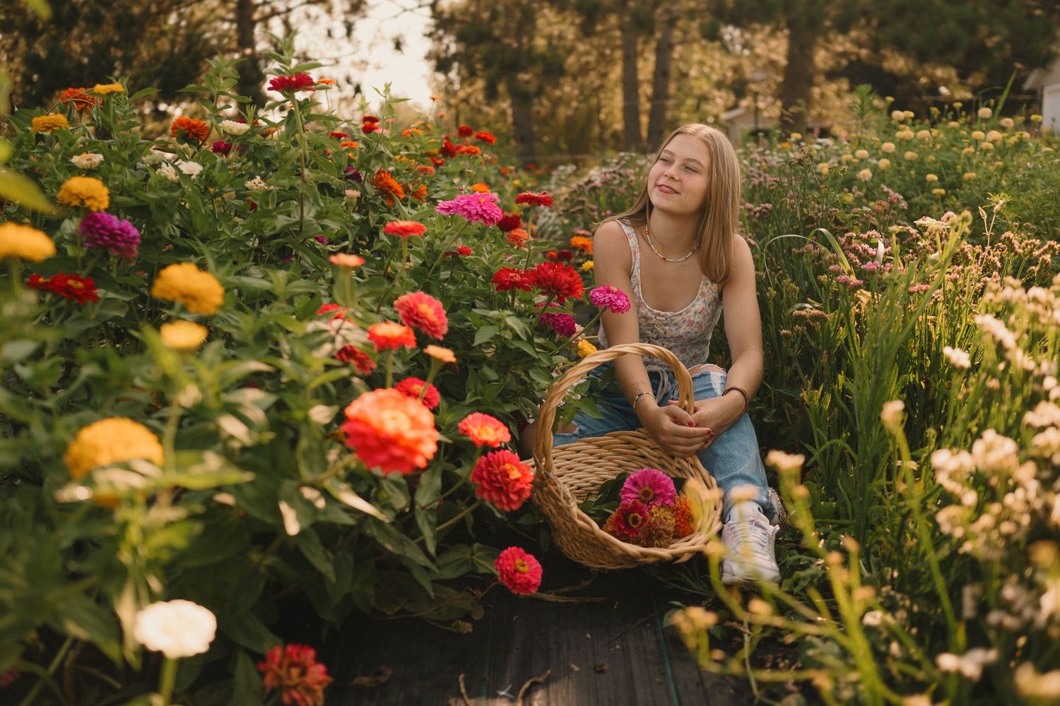 A woven basket filled with freshly picked flowers sits among blooming garden flowers on a summer evening.