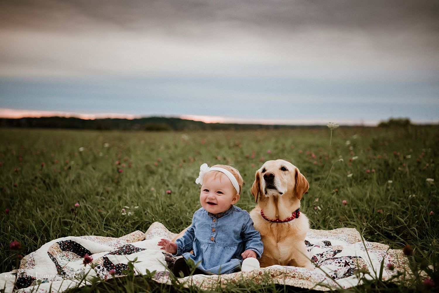 Baby in denim dress sitting with golden retriever on blanket in grassy meadow.