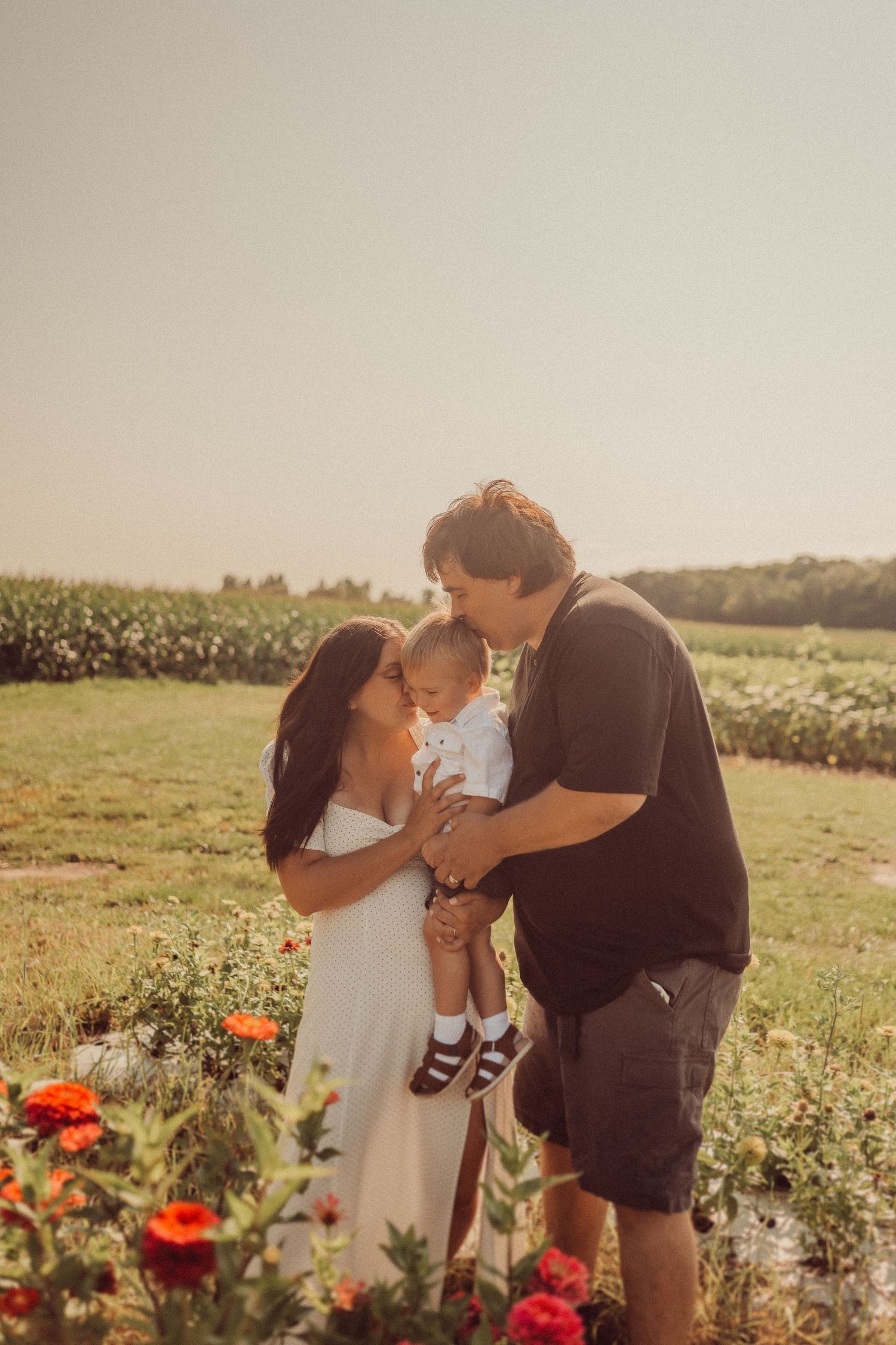 An intimate family portrait taken in a field of red poppies at sunset.