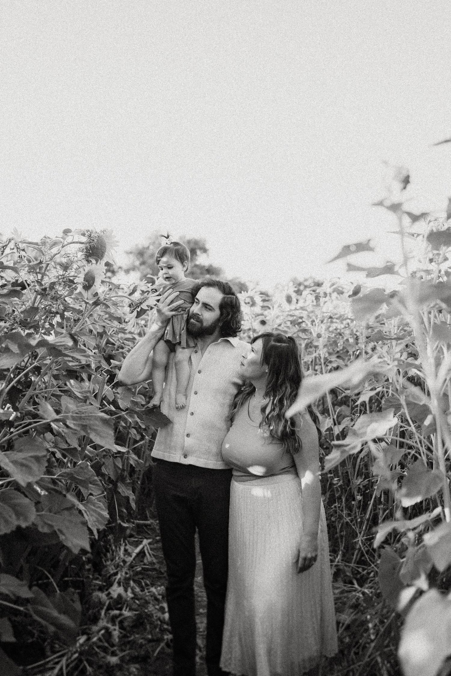 Black and white portrait of a couple sharing an intimate moment in a sunflower field.