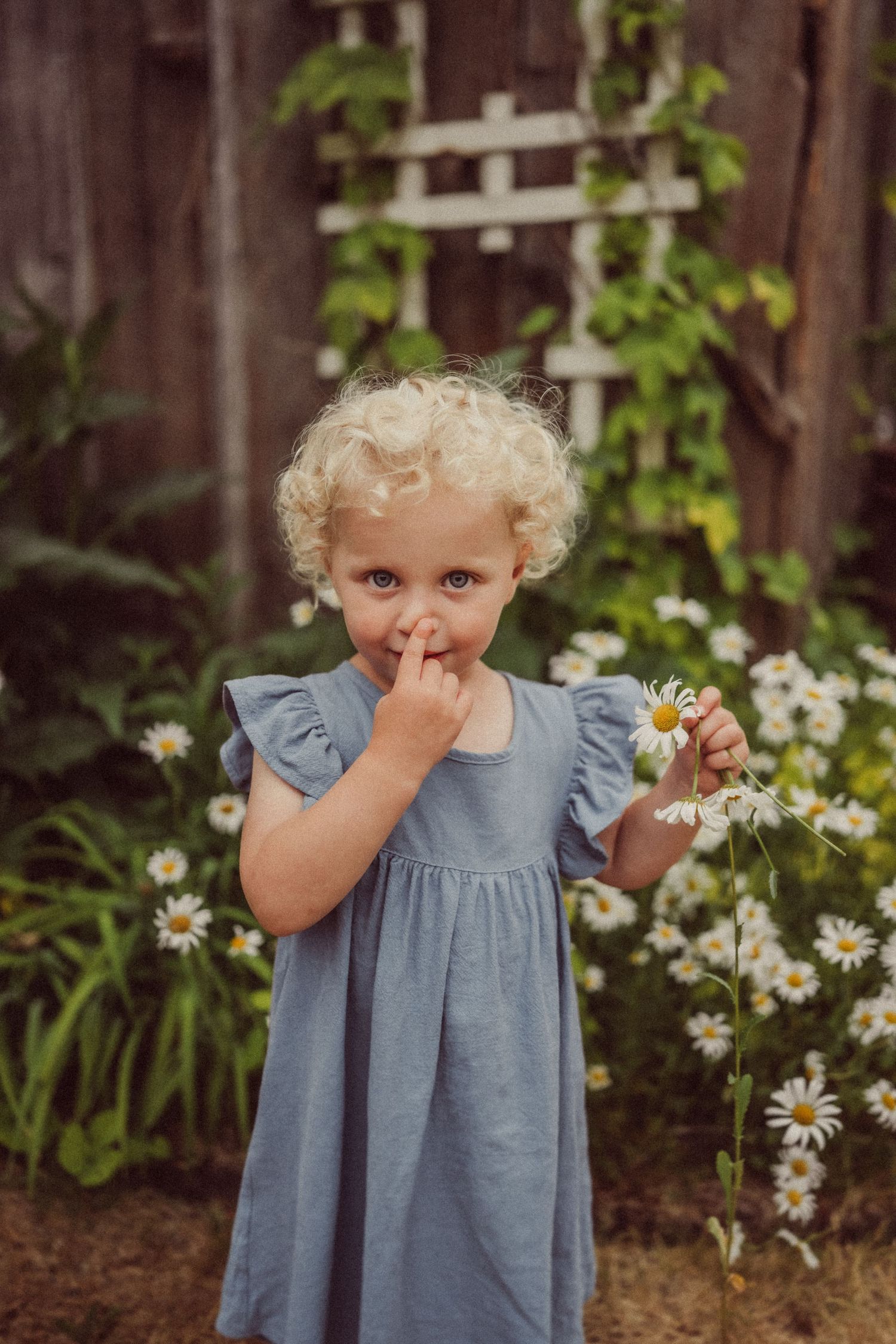 A child in a blue ruffled dress stands in a garden with daisies and climbing vines against a wooden fence.