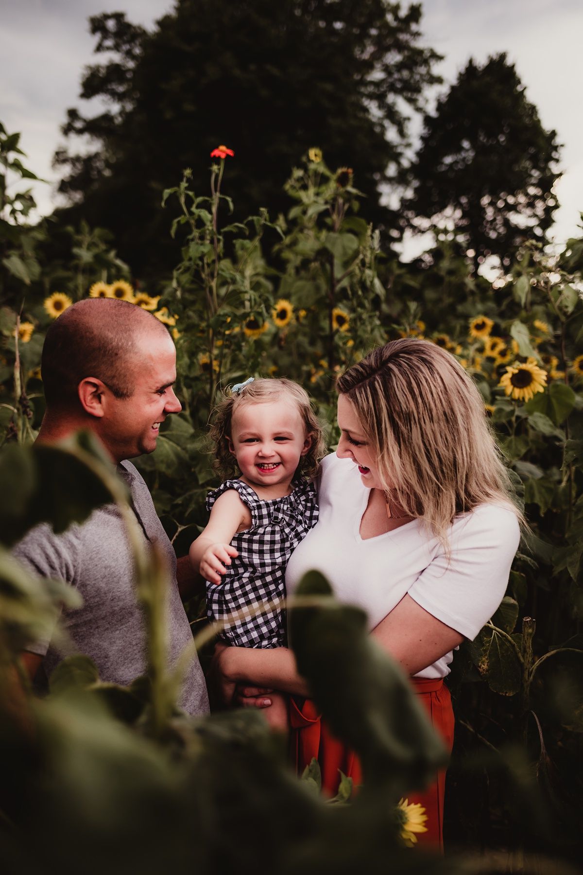 A happy family moment captured among towering sunflowers in summer.