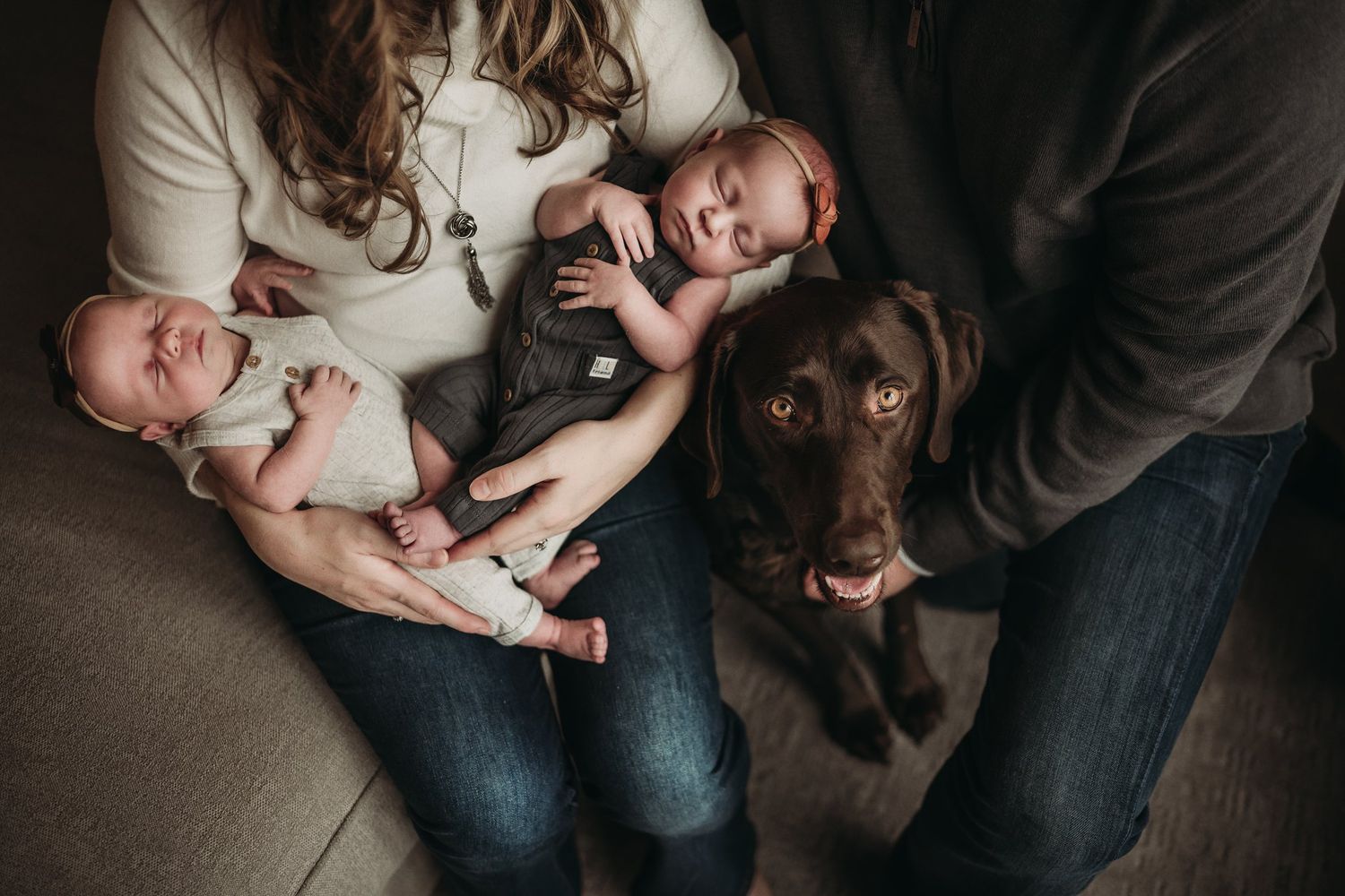 A chocolate labrador sits with people holding babies on a grey couch in warm lighting.