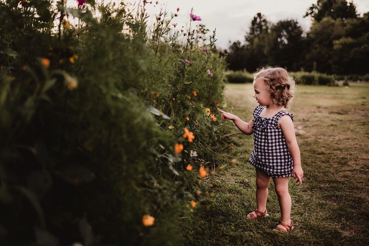 Toddler in gingham dress explores colorful flower garden on dirt path at golden hour.