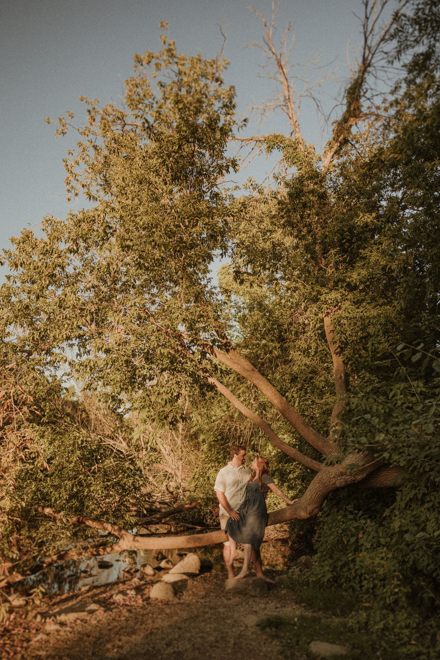A couple embraces under golden sunlit trees on a rocky path during sunset.