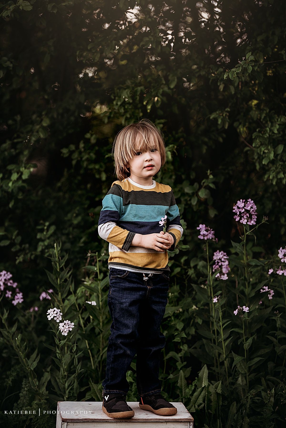 Child wearing striped shirt stands confidently on white box near purple wildflowers at dusk.