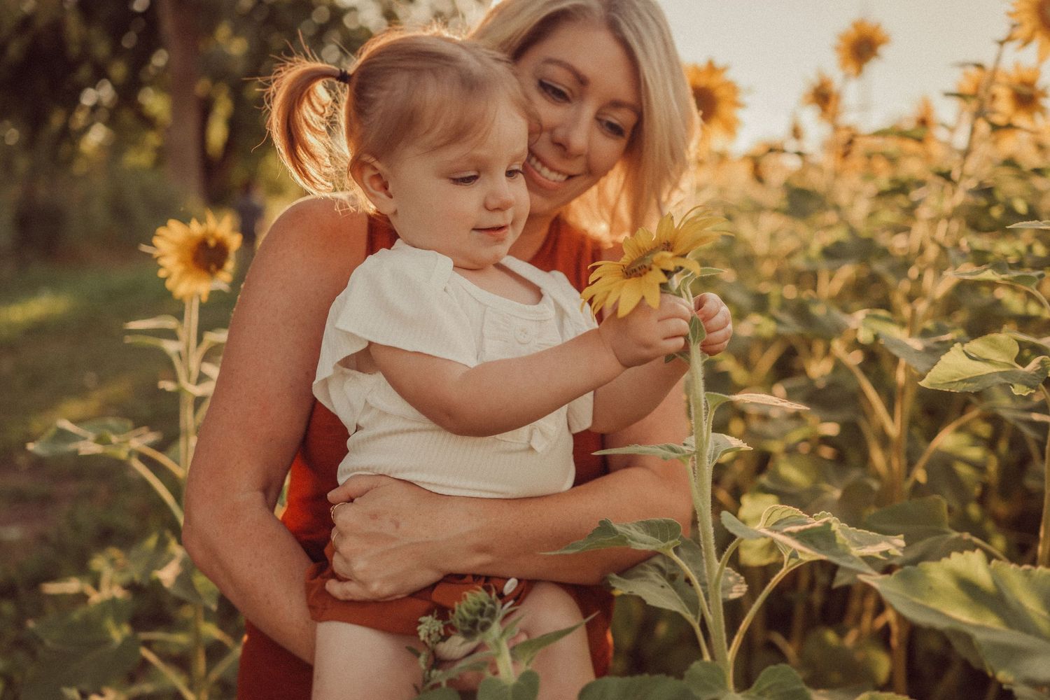 Parent and child exploring sunflowers together during a warm sunset.