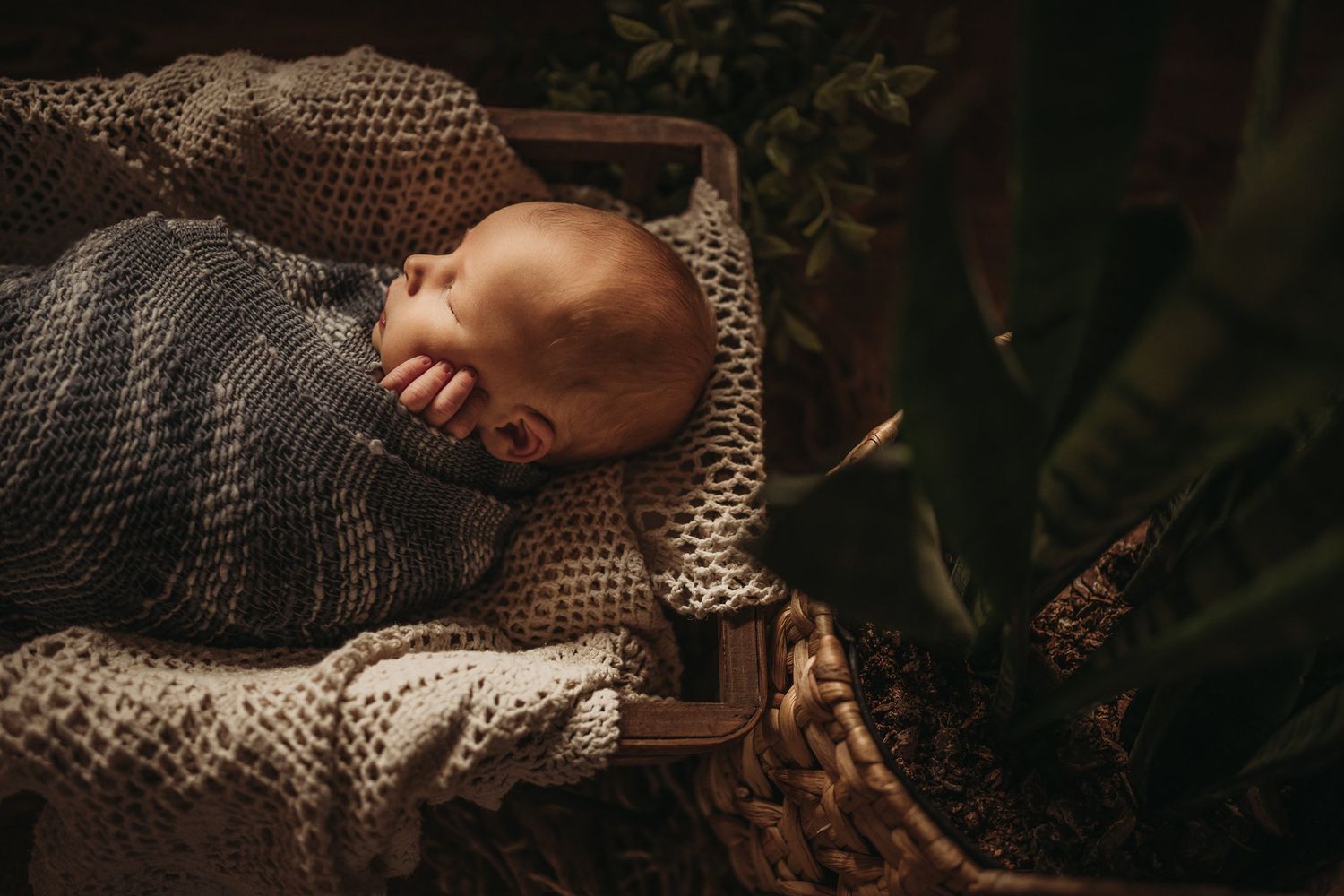 Newborn baby sleeping peacefully on a textured gray blanket with foliage in the background.