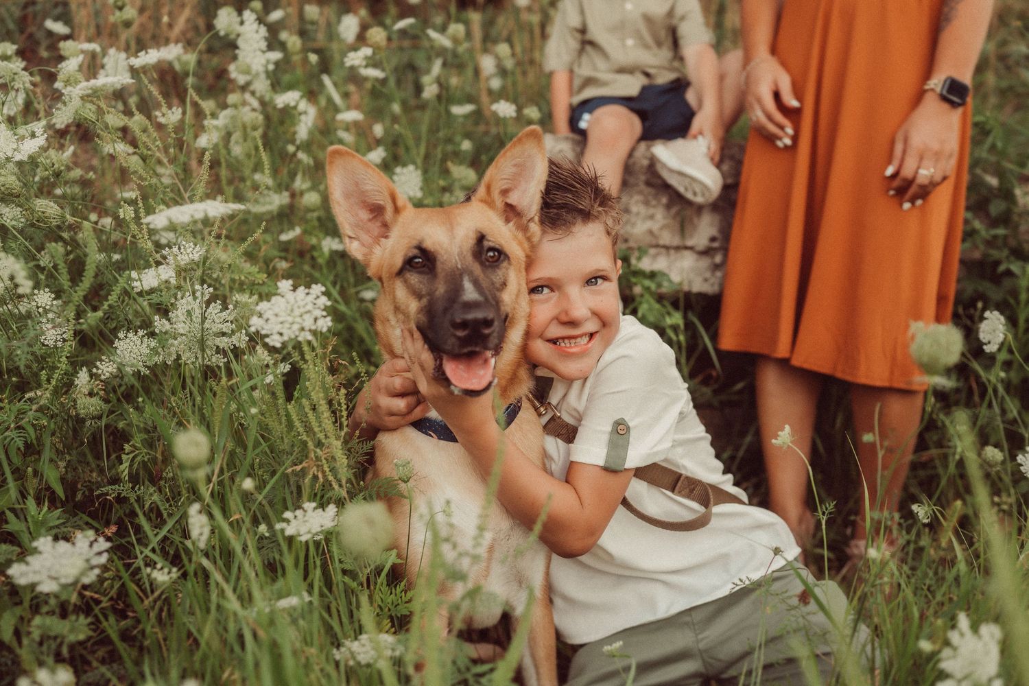 A young child hugs a German Shepherd dog in a wildflower meadow on a sunny day.