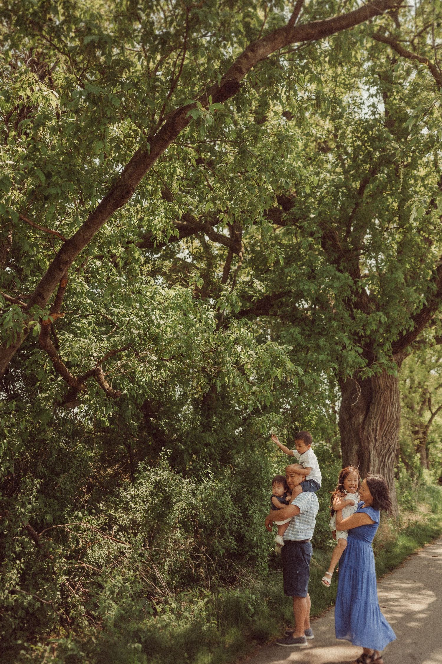 A couple stands on a pathway beneath towering trees with lush green foliage on a sunny day.