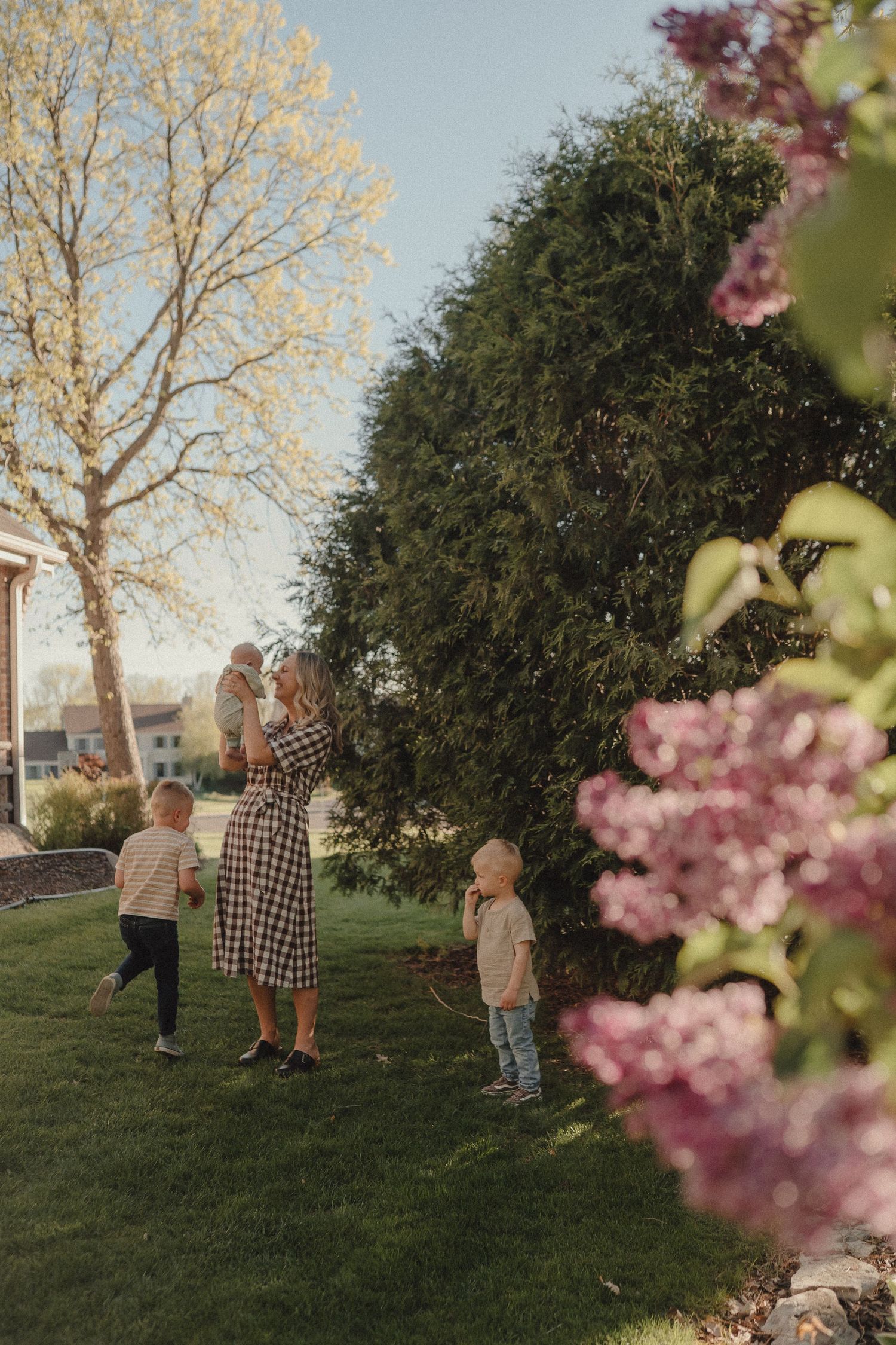 A mother in a checkered dress tends to her children near lush green hedges with lilacs in the foreground.