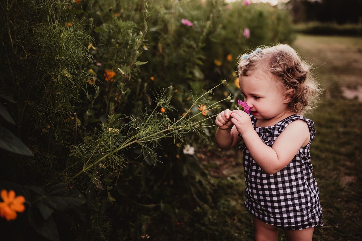 Smiling toddler in checkered dress playing among wildflowers.