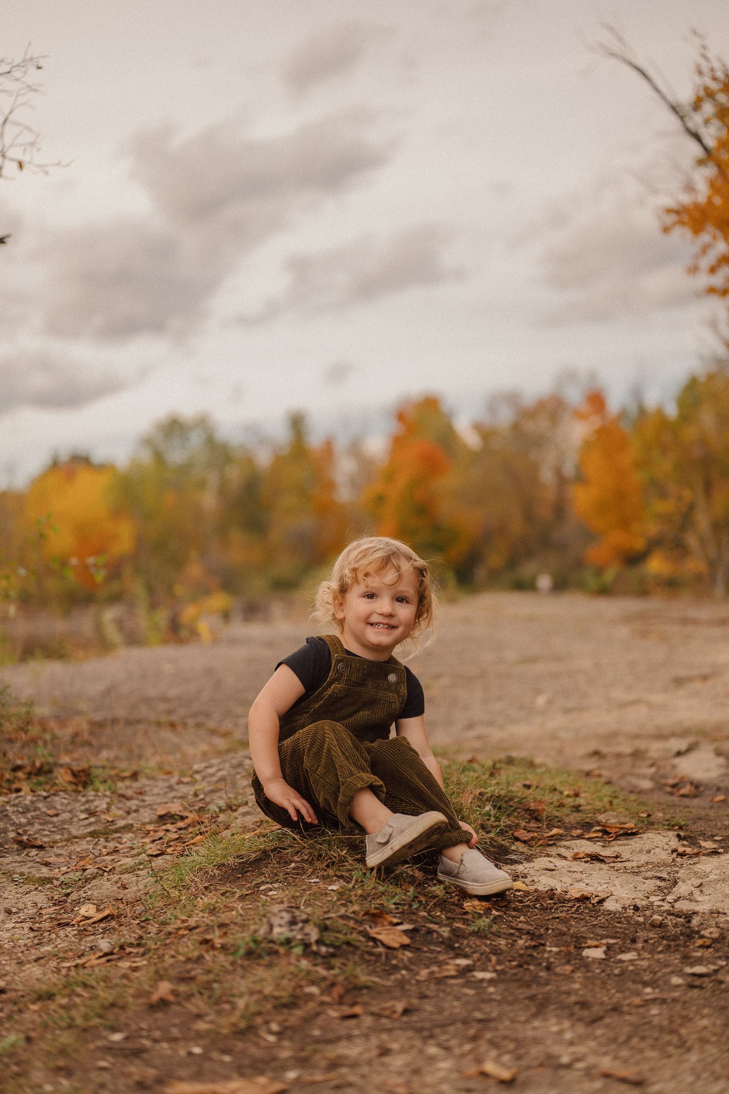 A playful autumn scene on the ground with fallen leaves and natural earth tones.