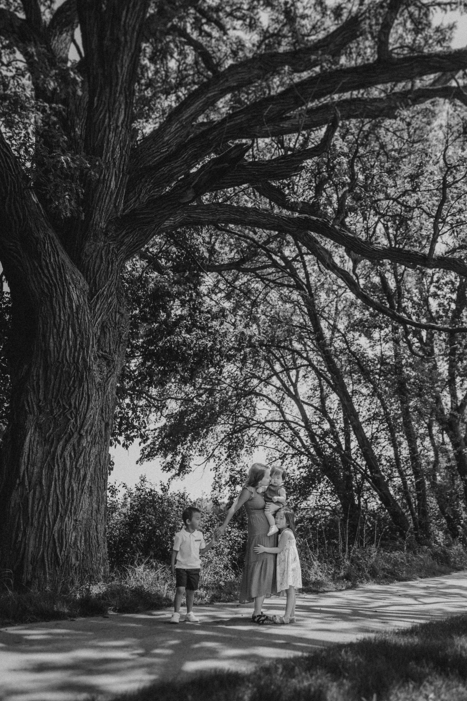 A black and white photo captures a peaceful moment under a majestic tree on a walking path.