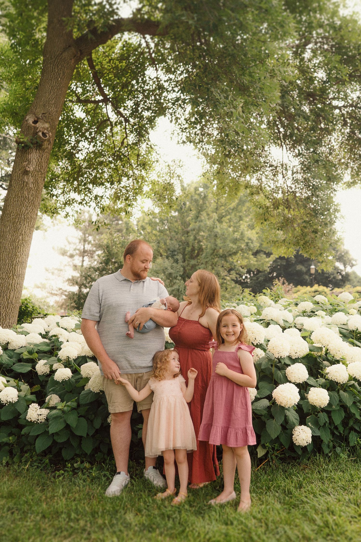 A family portrait in front of blooming white hydrangea bushes on a summer evening.