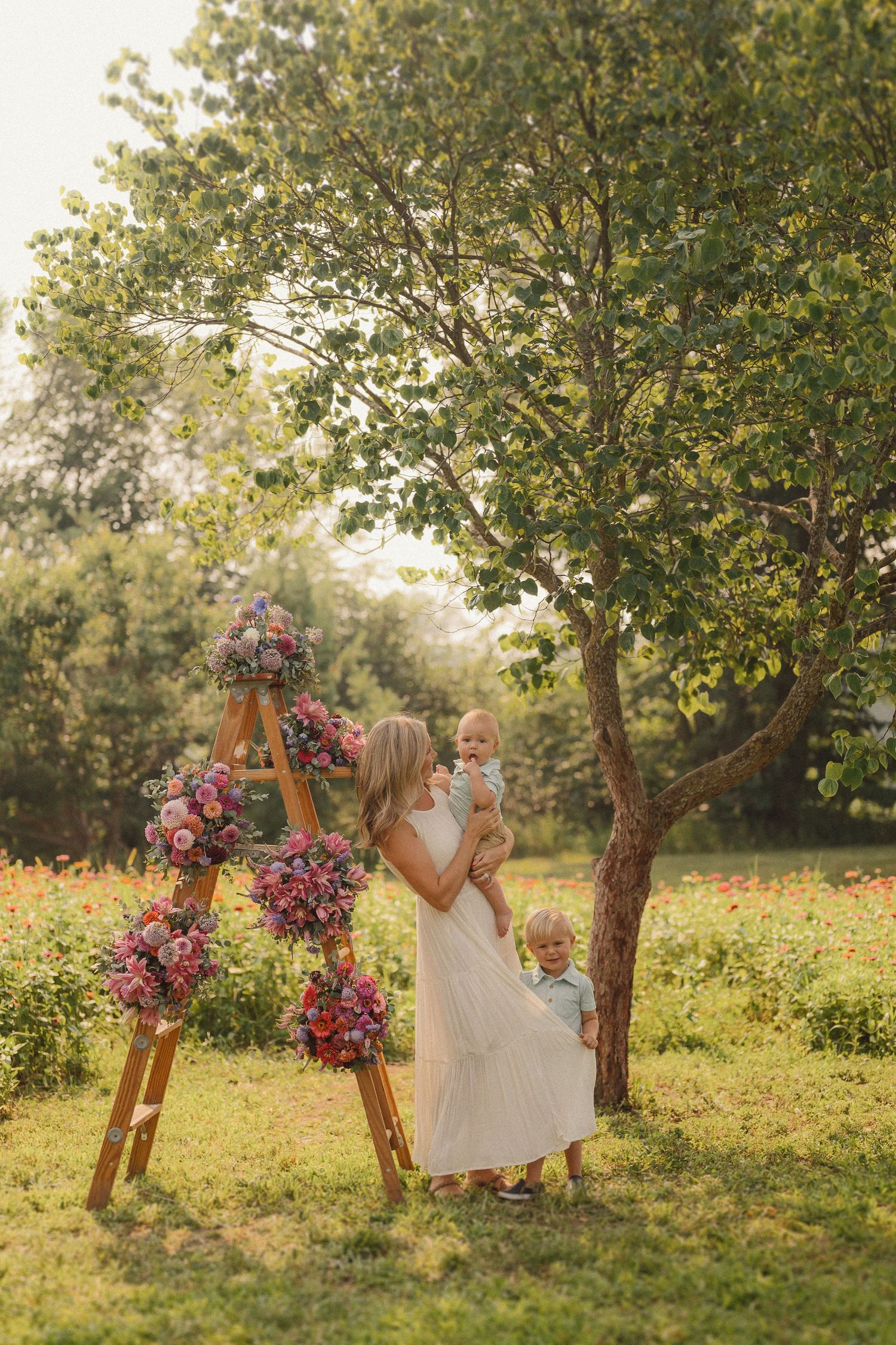 Pink floral arch decorates an outdoor garden setting with sun filtering through trees in late afternoon light.