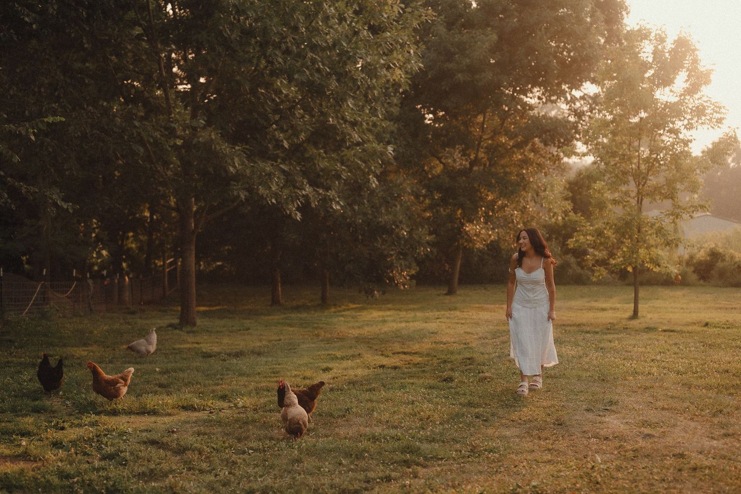 Woman in white dress walking among free-range chickens in a sunlit pastoral meadow surrounded by lush green trees.