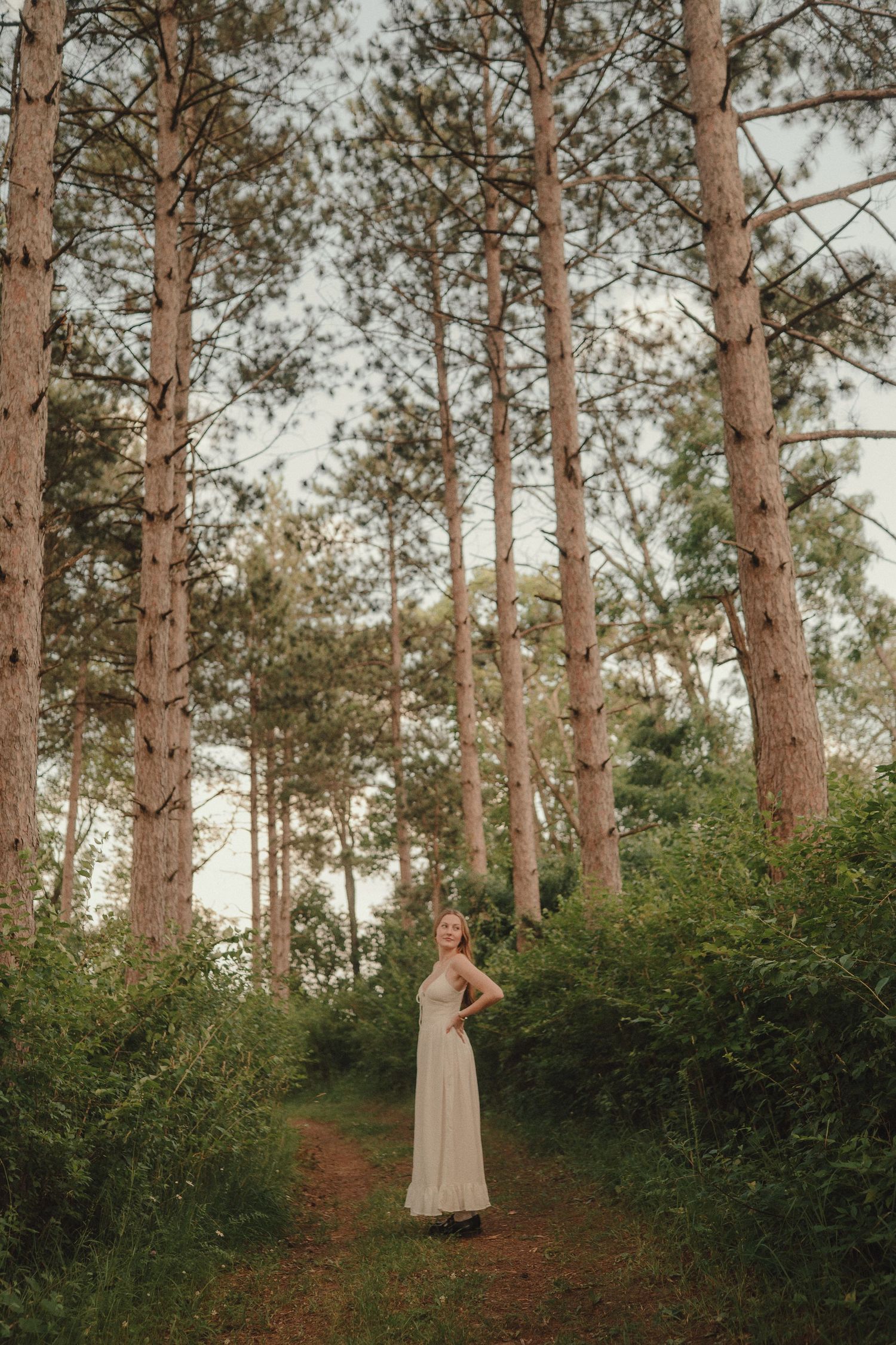 Young woman in a flowing white dress stands on a forest path surrounded by tall pine trees at dusk.