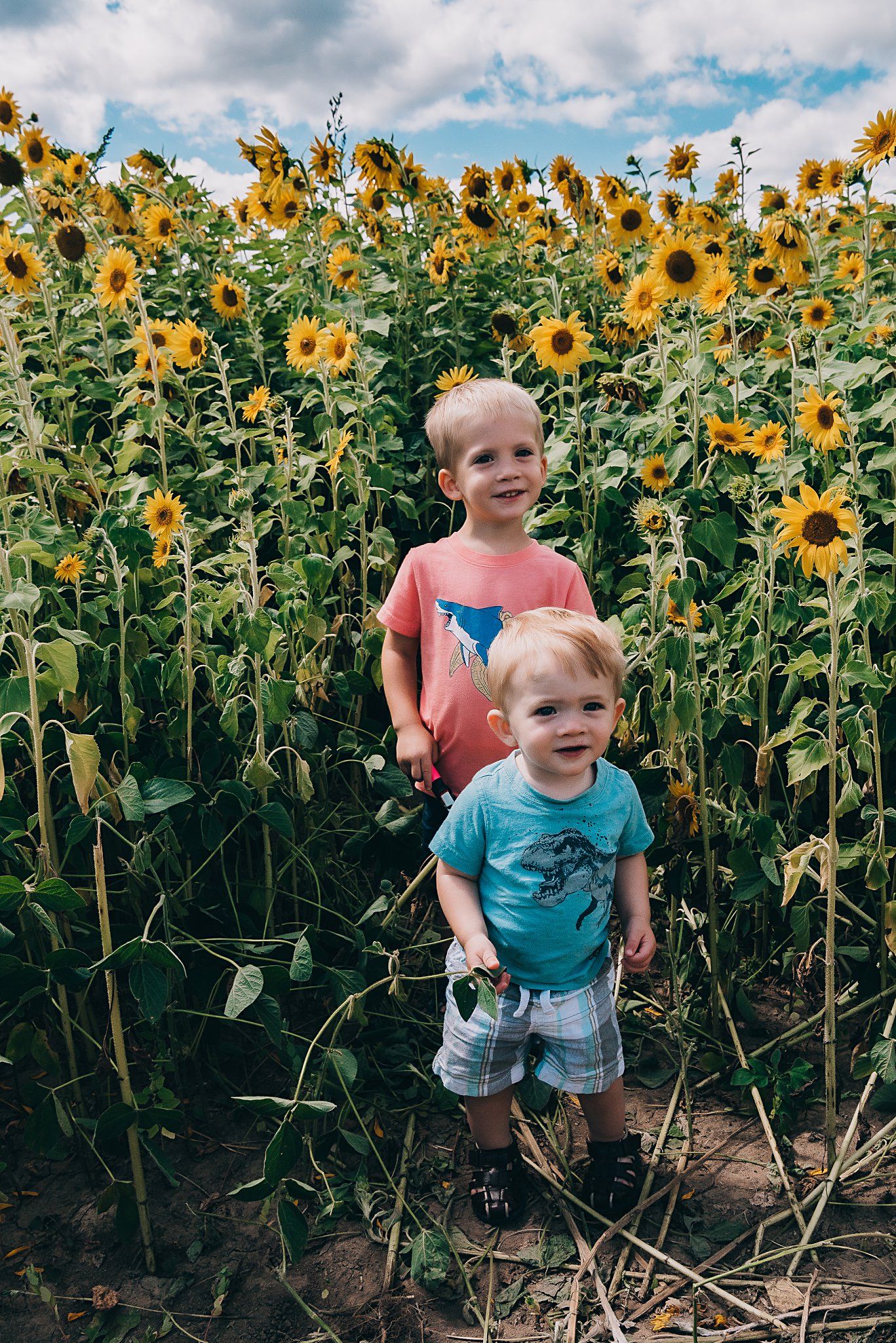 Two children stand together on a dirt path surrounded by tall blooming sunflowers.