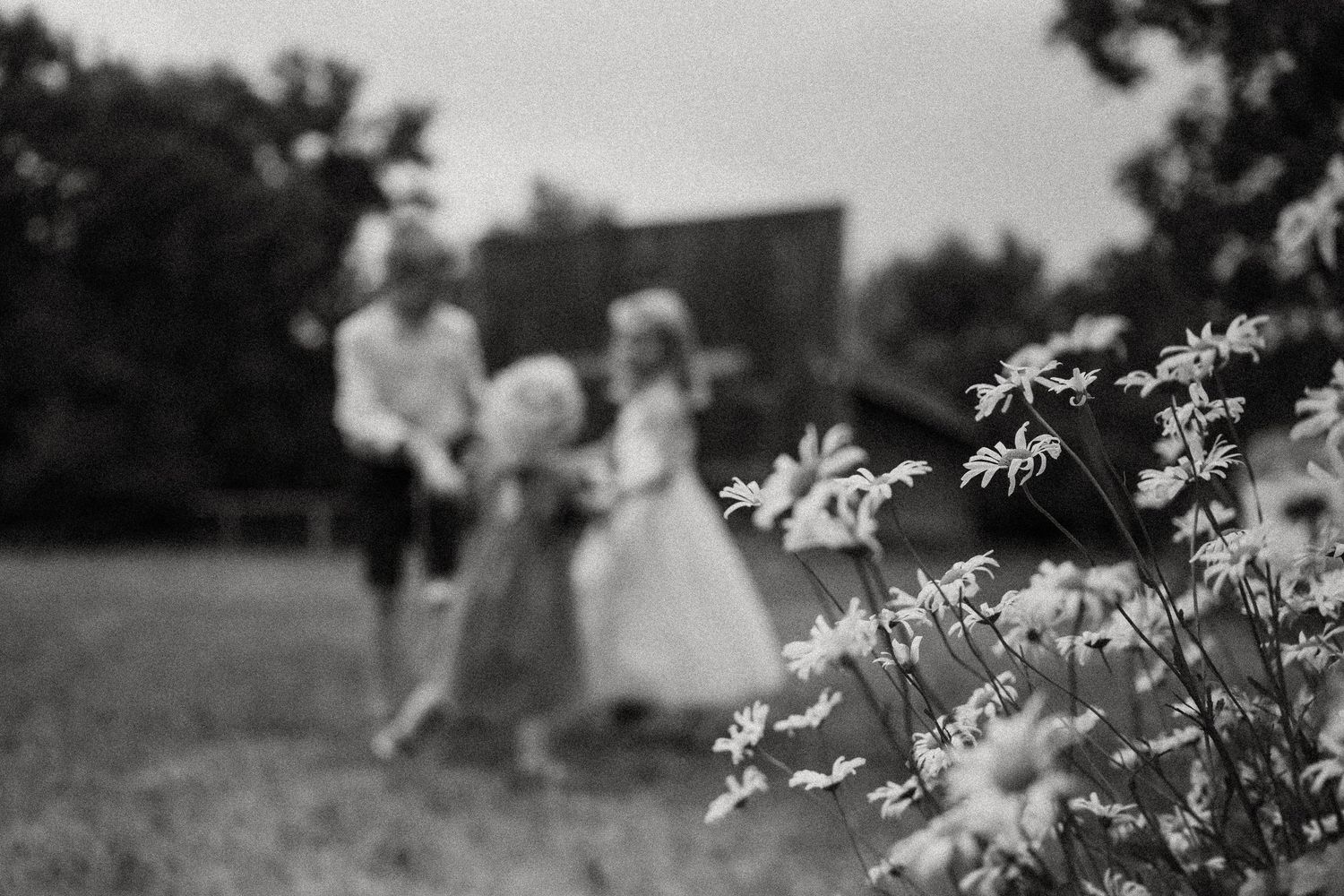 A black and white photo of daisies in focus with blurred figures in the background.
