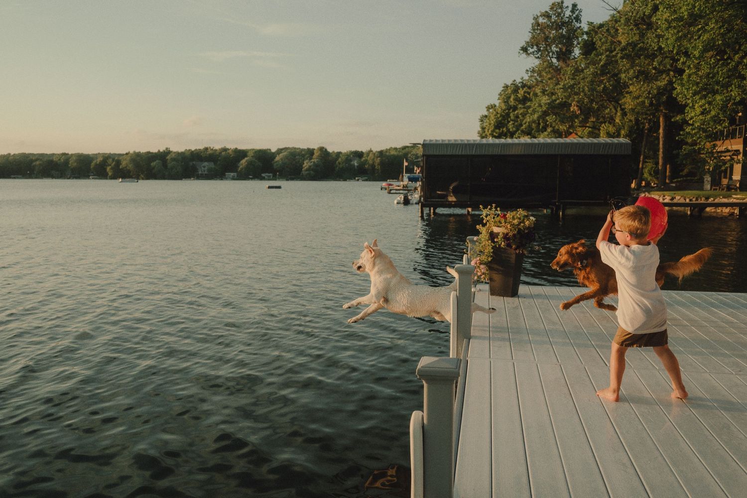 A dog leaps off a lakeside dock while a child plays nearby at golden hour.