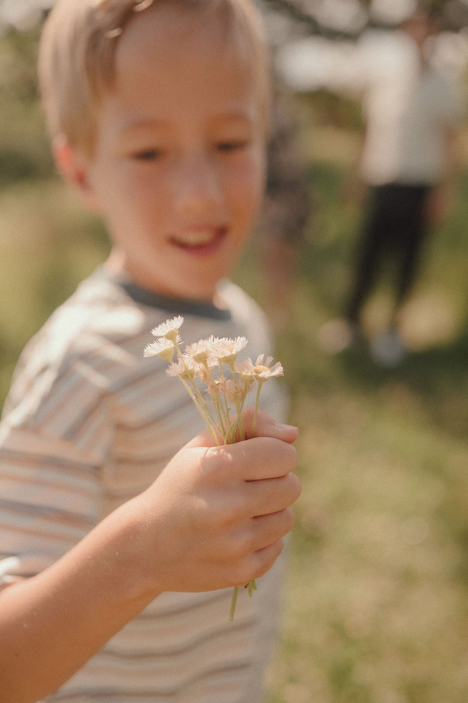 A young boy in a striped shirt holds a small bouquet of white wildflowers outdoors.