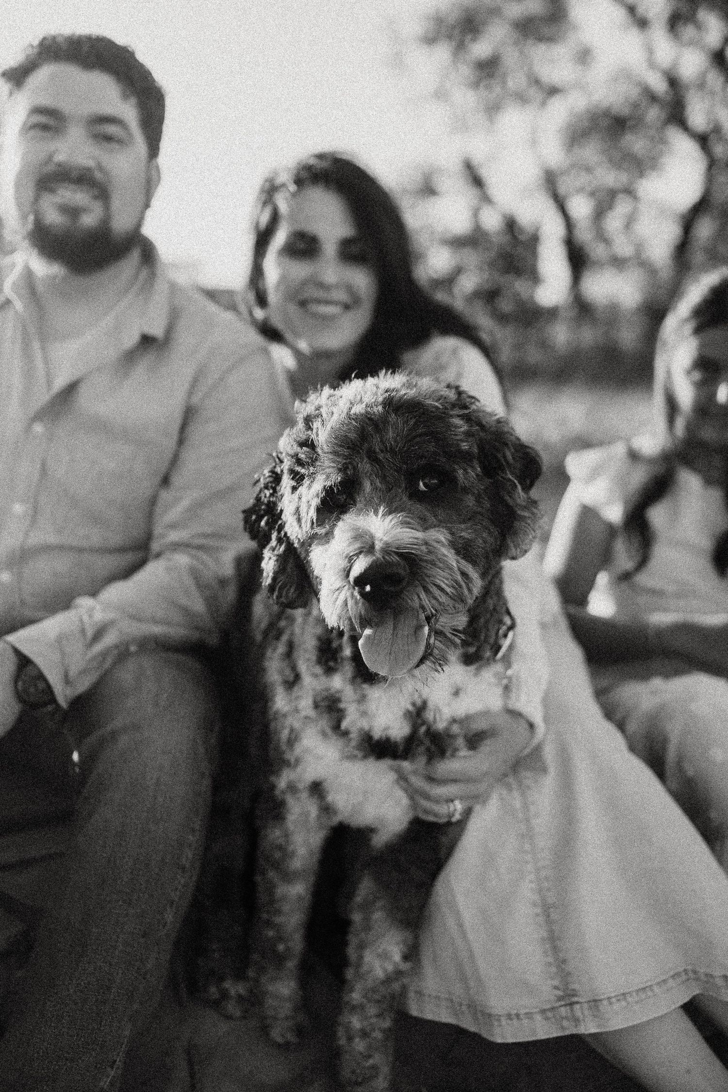Smiling couple with a fluffy curly dog on their lap in a candid black and white portrait.