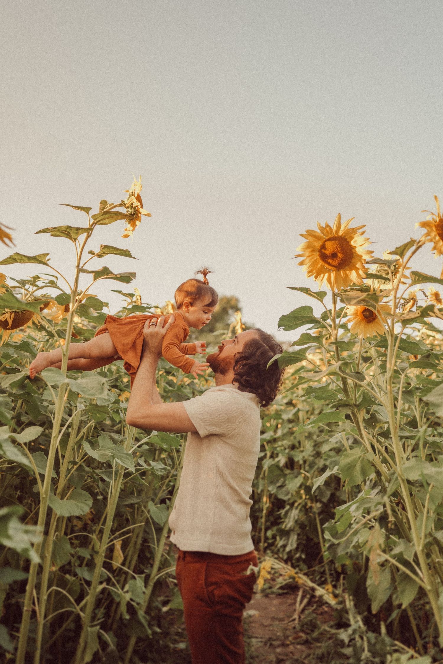 Heartwarming moment in a sunflower field during golden hour.