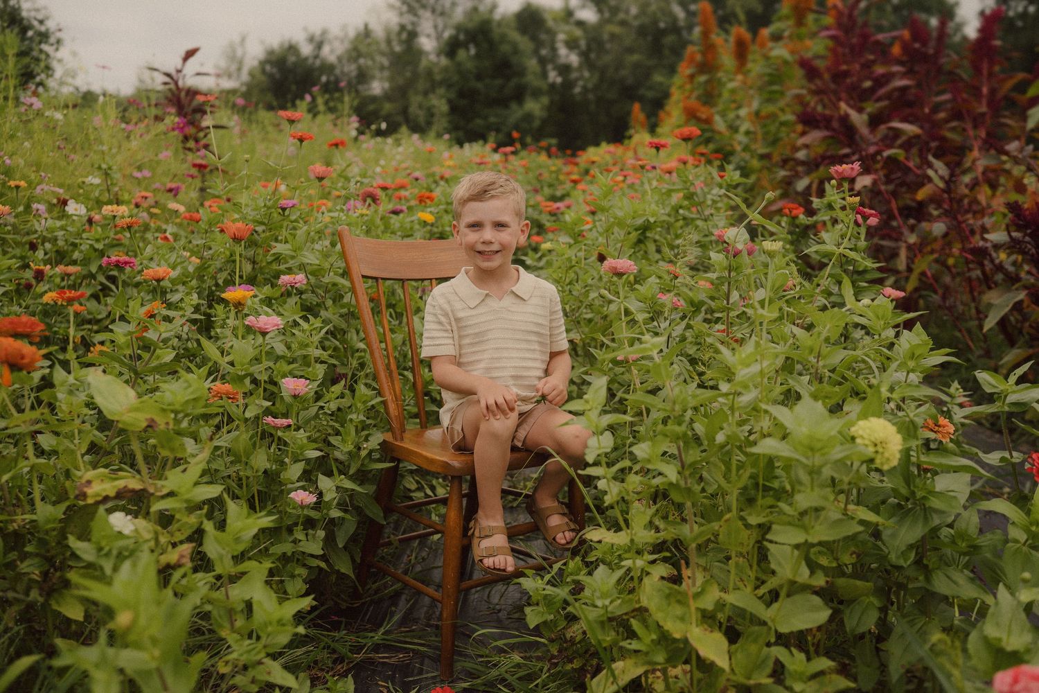 A natural garden setting with wooden bench surrounded by vibrant flowers and lush greenery on a sunny day.