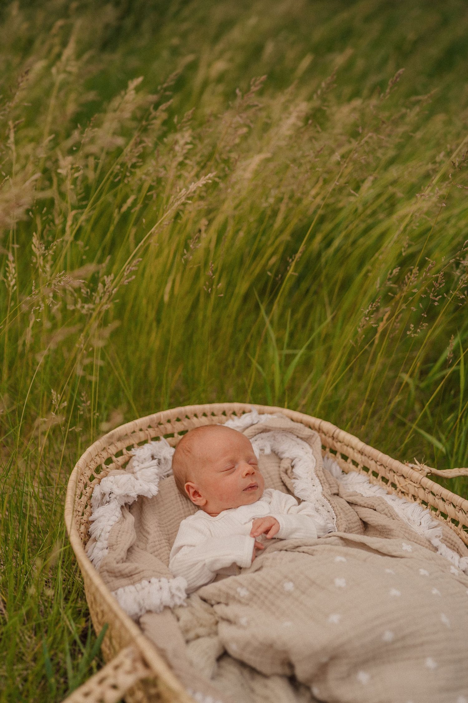 Sleeping newborn baby in white clothing lying in an ornate bassinet surrounded by tall grass.